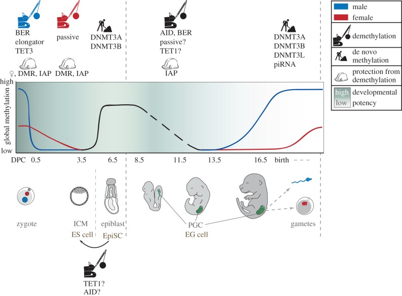 Figure 1.