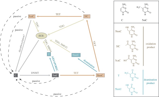 Figure 2.