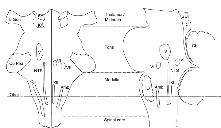 Fig 9.