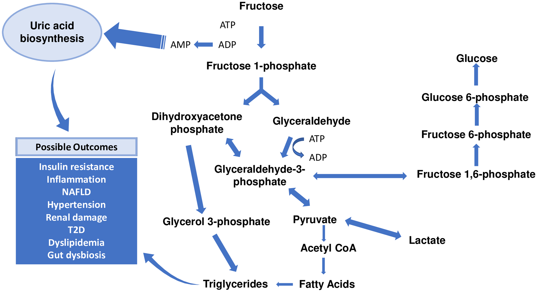 Fig 1.