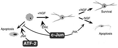 FIG. 6