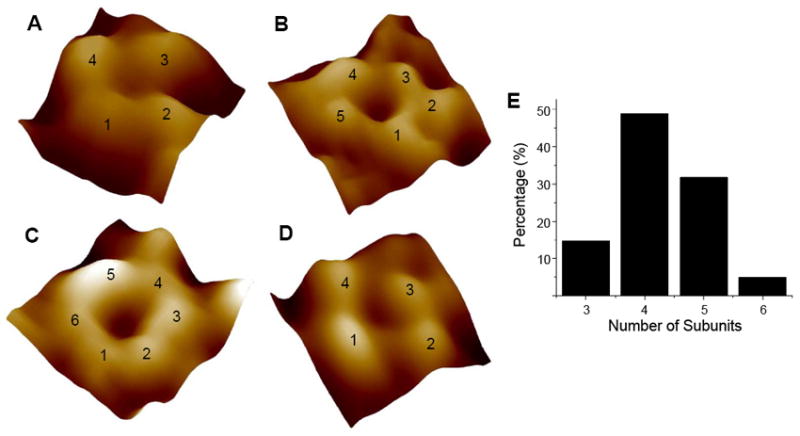 FIGURE 3