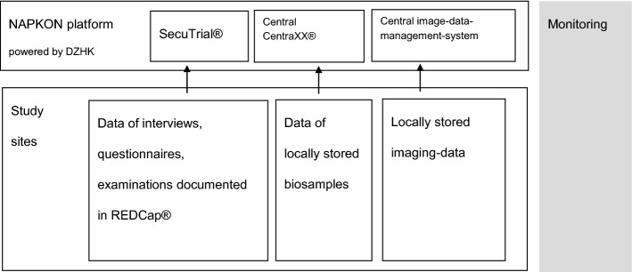 Fig. 2