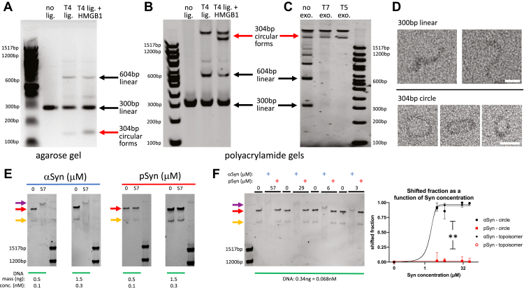 Figure 6