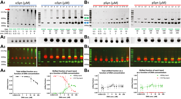 Figure 4