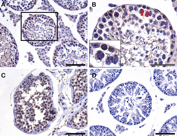 Figure 7