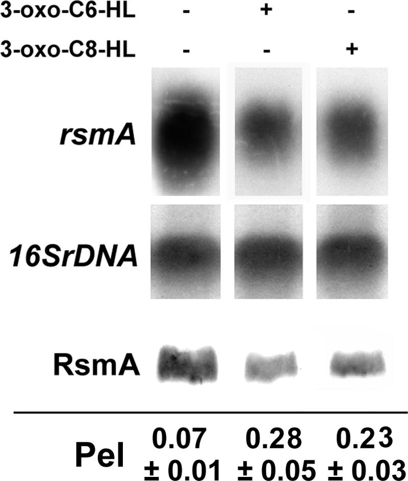 FIG. 5.