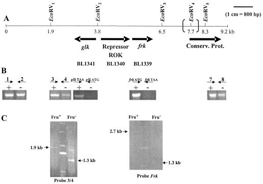 FIG. 6.