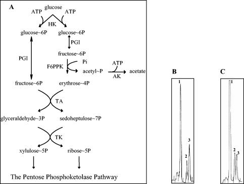 FIG. 1.