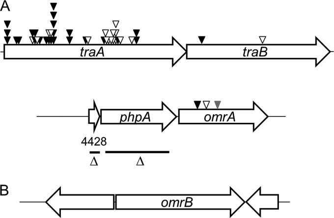 FIG 2