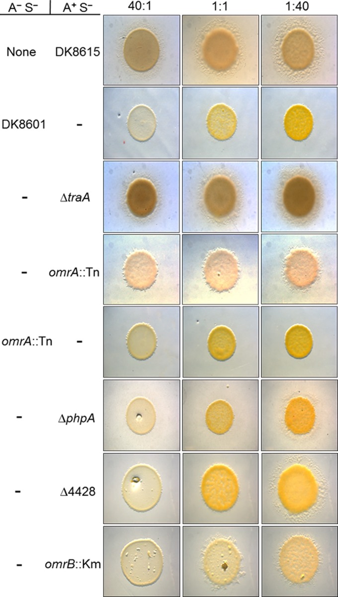 FIG 3