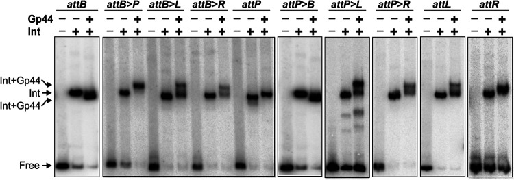 FIG 3