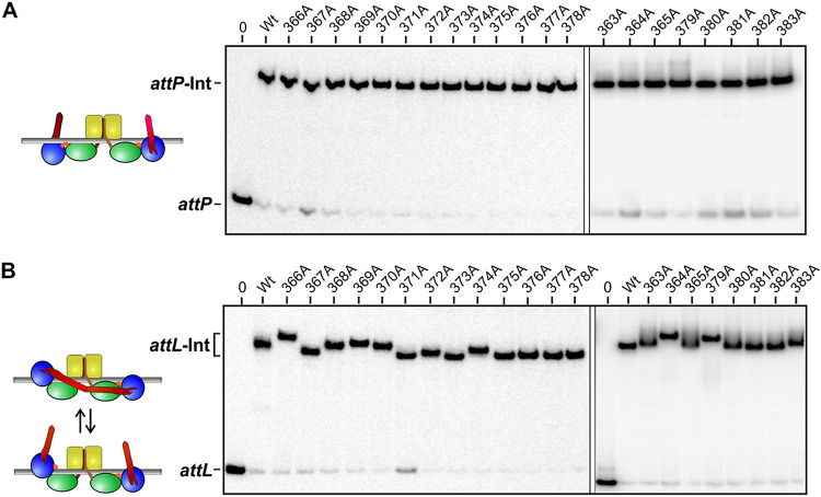 FIG 6