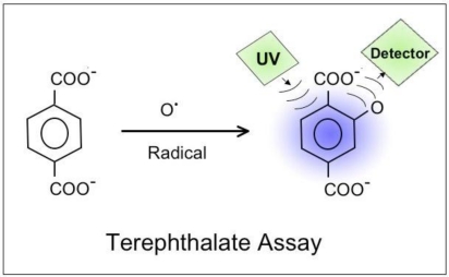 Figure 9.