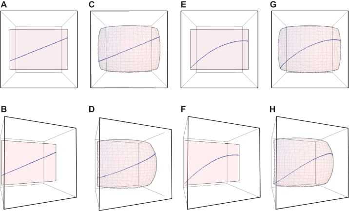 Fig. 8.