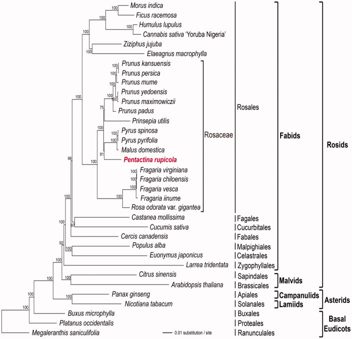 Figure 1.