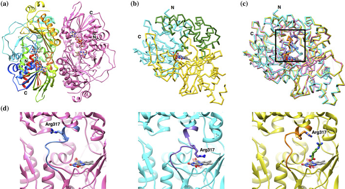 FIGURE 4