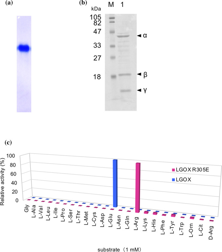 FIGURE 1