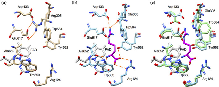 FIGURE 6