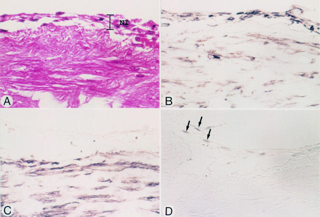 Figure 3  