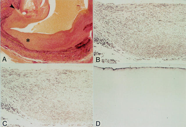 Figure 5  