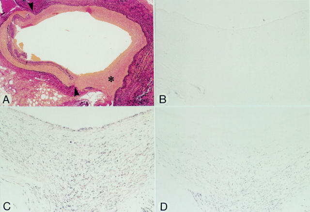 Figure 4  