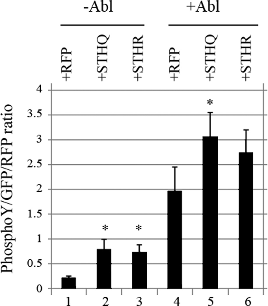 Fig. 6