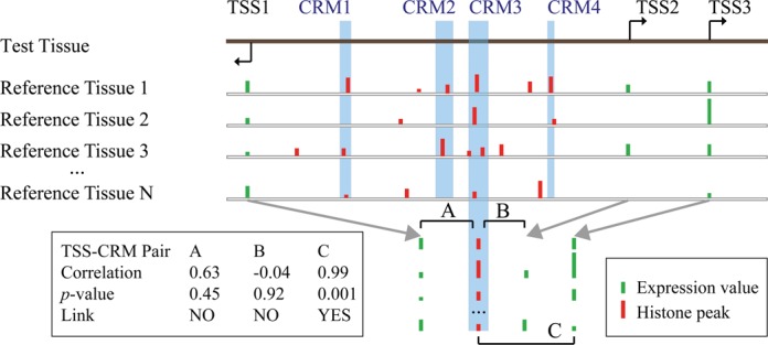 Figure 1.