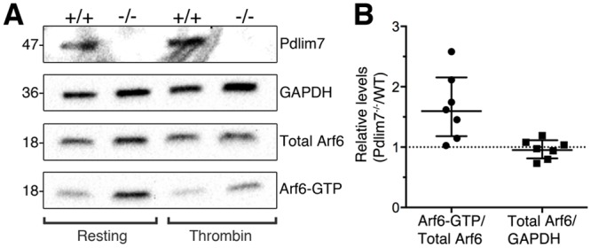 Fig 10