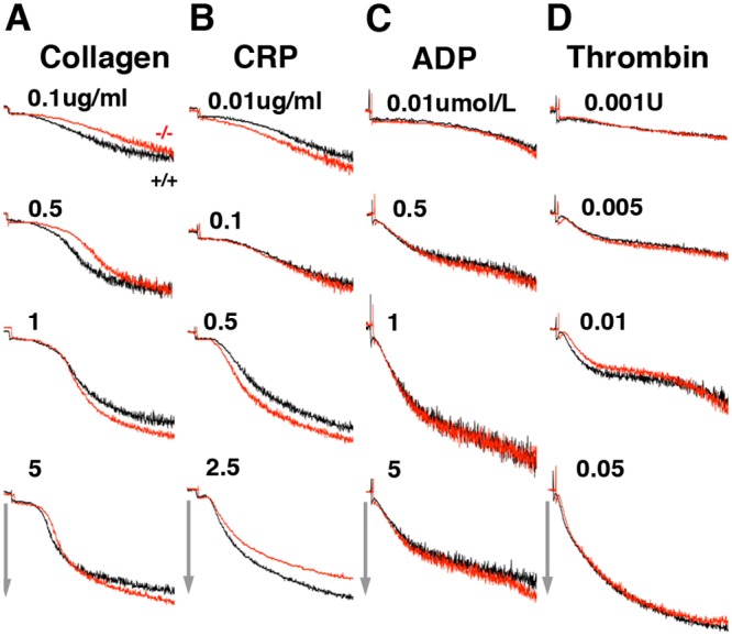 Fig 2