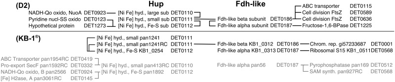 Fig 5