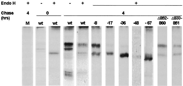 FIG. 5