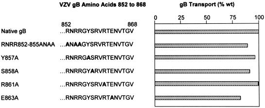 FIG. 7