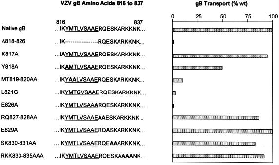 FIG. 8