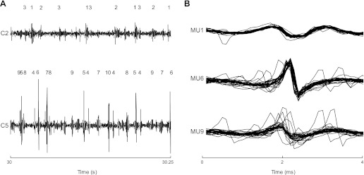 Fig. 2.