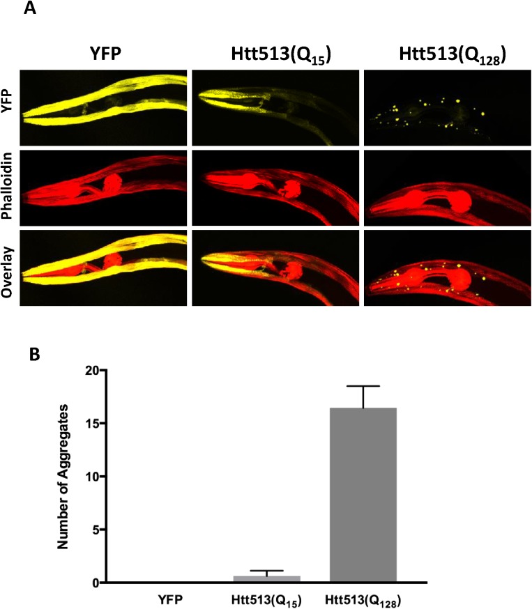 Fig 3