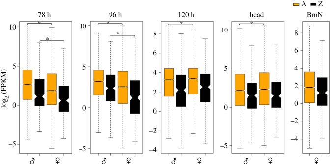 Figure 4.