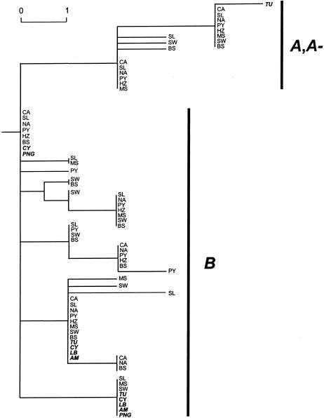 Figure  4