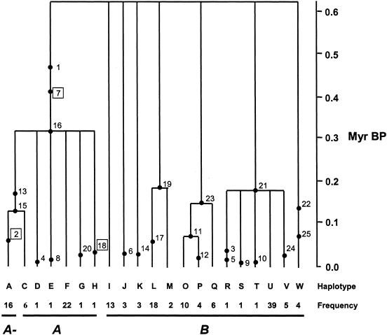 Figure  5