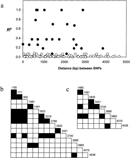 Figure  3