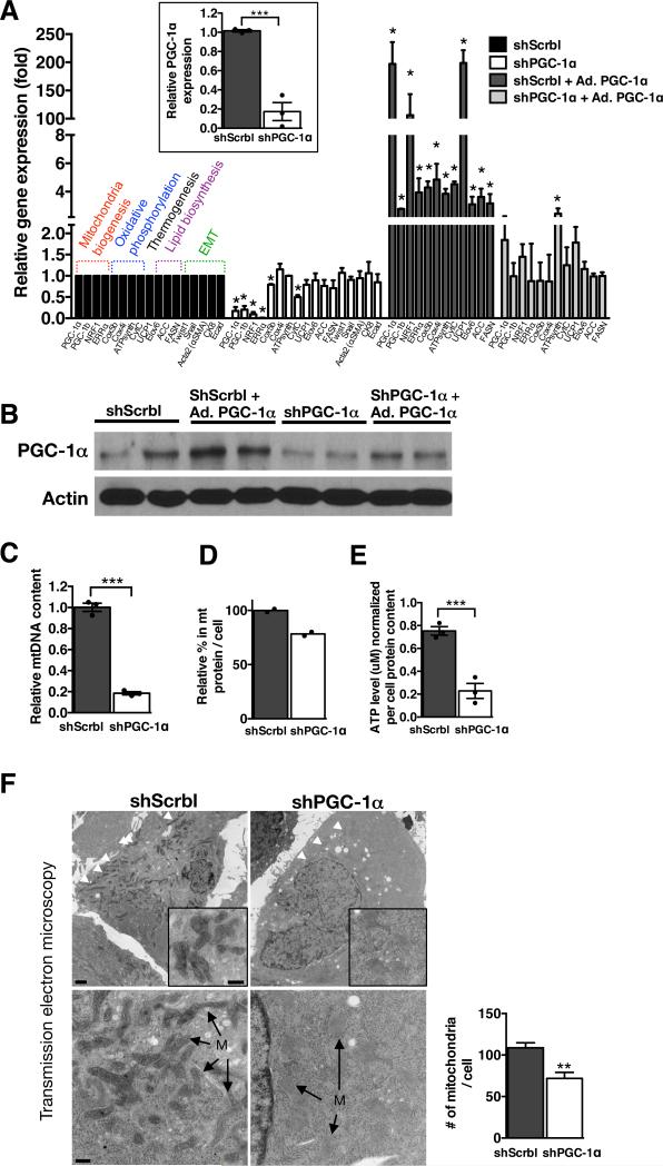 Figure. 3