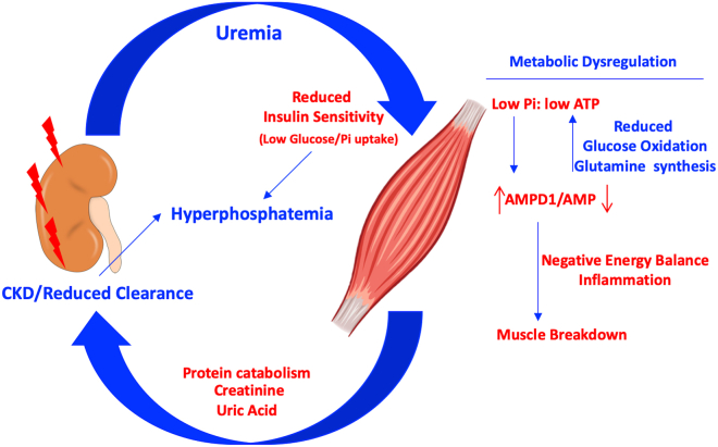 Figure 5