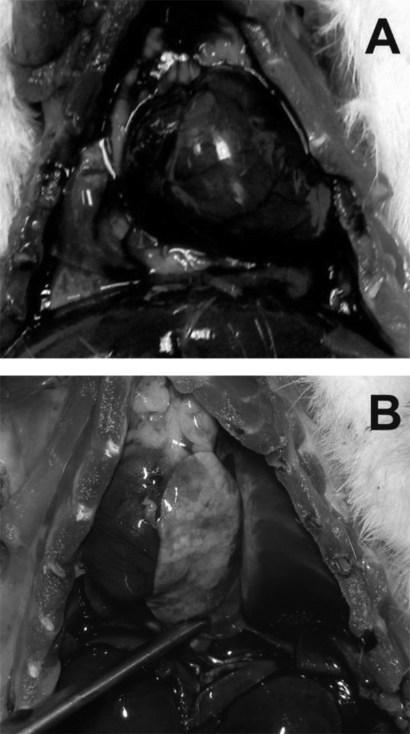 Fig. 7.