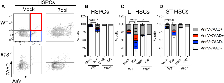 Figure 5