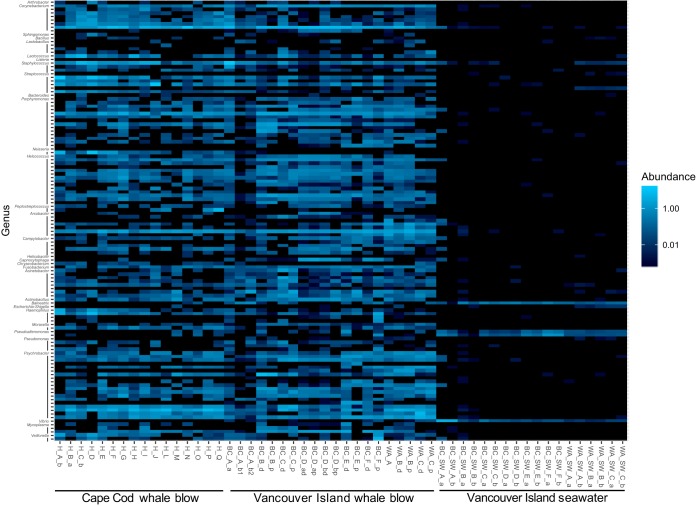 FIG 6 