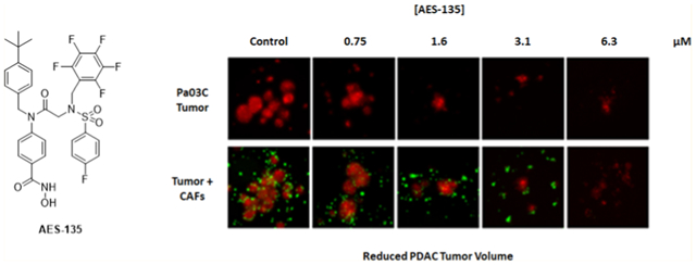 graphic file with name nihms-1580096-f0001.jpg