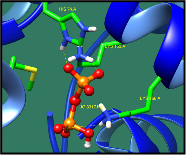 FIGURE 14