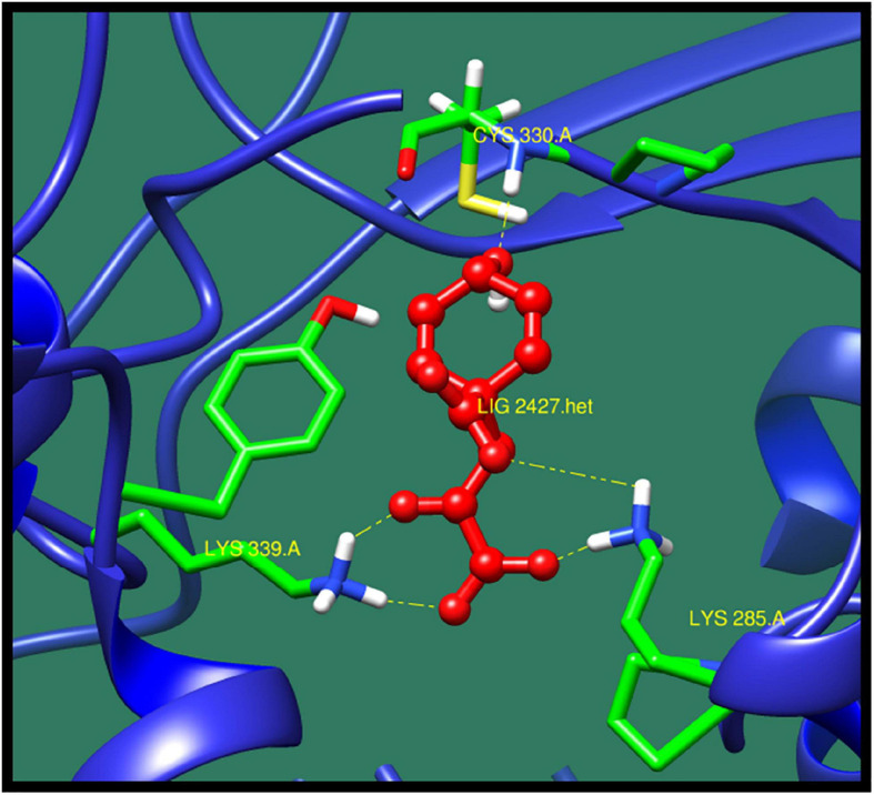 FIGURE 3