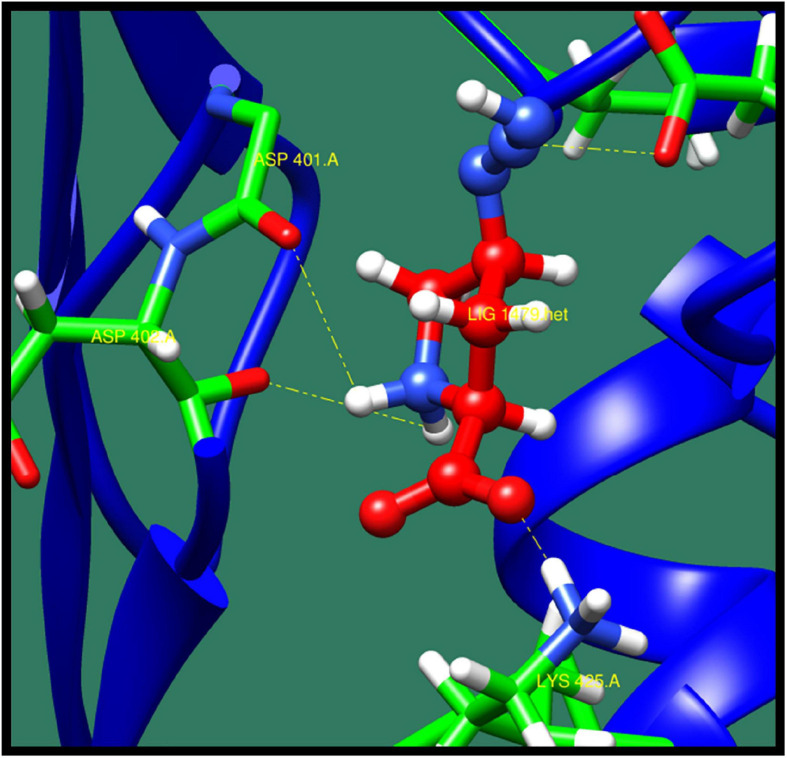 FIGURE 12