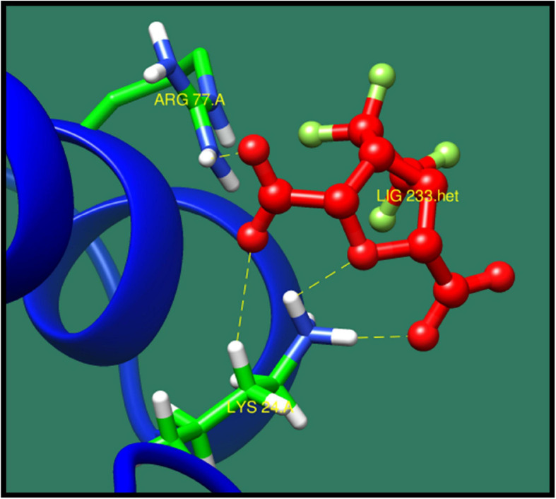 FIGURE 13